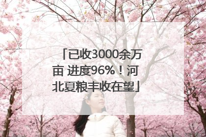 已收3000余万亩 进度96%！河北夏粮丰收在望